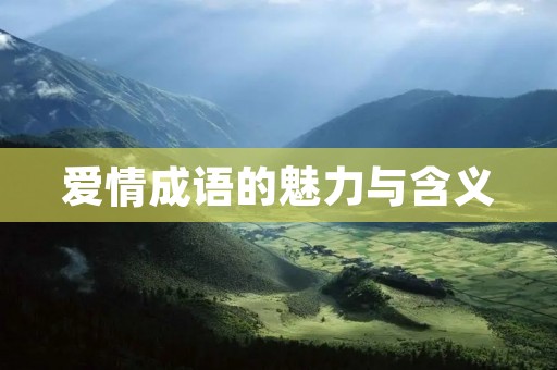 爱情成语的魅力与含义