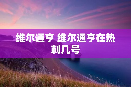 维尔通亨 维尔通亨在热刺几号