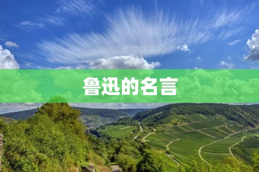 鲁迅的名言:人民的痛苦是我的痛苦