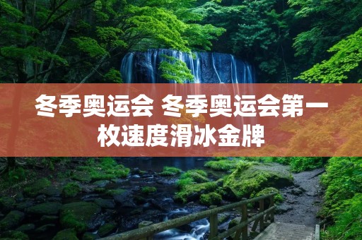冬季奥运会 冬季奥运会第一枚速度滑冰金牌