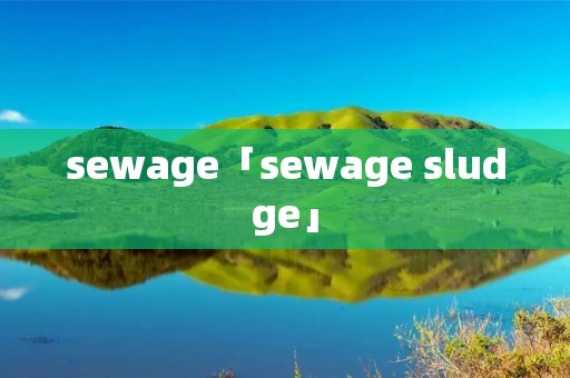 sewage「sewage sludge」