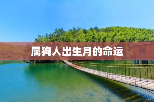 属狗人出生月的命运
