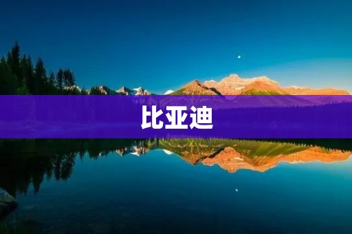 比亚迪:中国新能源汽车领军品牌 比亚迪:中国新能源汽车领军品牌