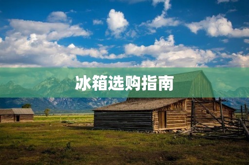 冰箱选购指南：哪个品牌最好？