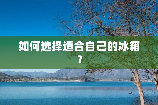 如何选择适合自己的冰箱？