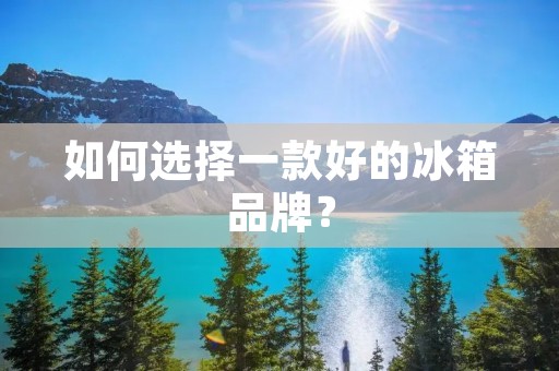 如何选择一款好的冰箱品牌？