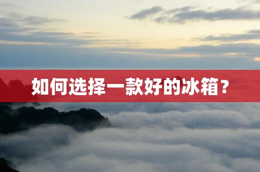如何选择一款好的冰箱? 如何选择一款好的冰箱?