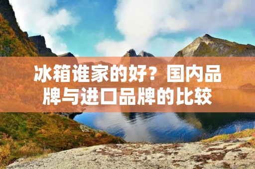 冰箱谁家的好？国内品牌与进口品牌的比较