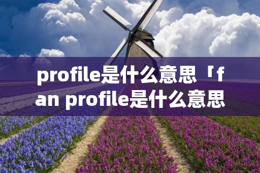 profile是什么意思「fan profile是什么意思」 profile是什么意思「fan profile是什么意思」