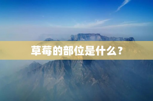 草莓的部位是什么? 草莓的部位是什么?