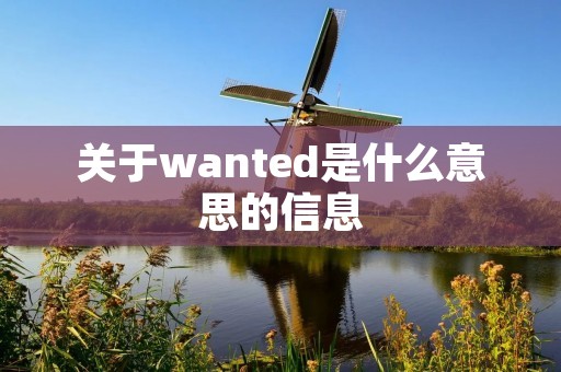 关于wanted是什么意思的信息 关于wanted是什么意思的信息