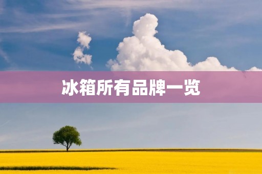冰箱所有品牌一览：质量、价格、外观全面比较