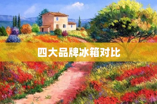 四大品牌冰箱对比:哪个更值得购买? 四大品牌冰箱对比:哪个更值得购买?