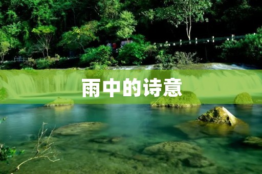 雨中的诗意