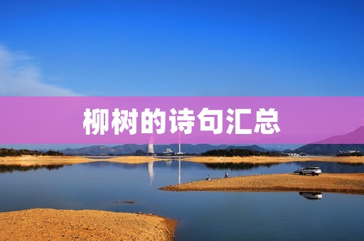 柳树的诗句汇总