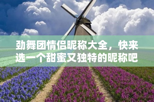 劲舞团情侣昵称大全,快来选一个甜蜜又独特的昵称吧!