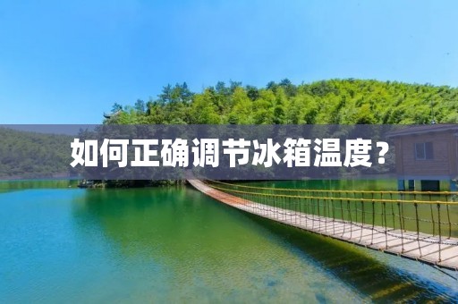 如何正确调节冰箱温度？
