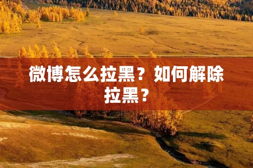 微博怎么拉黑?如何解除拉黑? 微博怎么拉黑?如何解除拉黑?