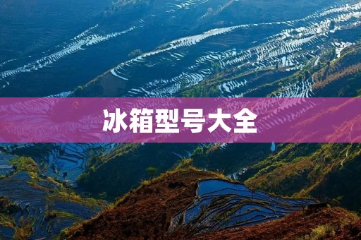 冰箱型号大全:从单门到多门,从小型到大容量,全方位搜罗,满足你的各种需求