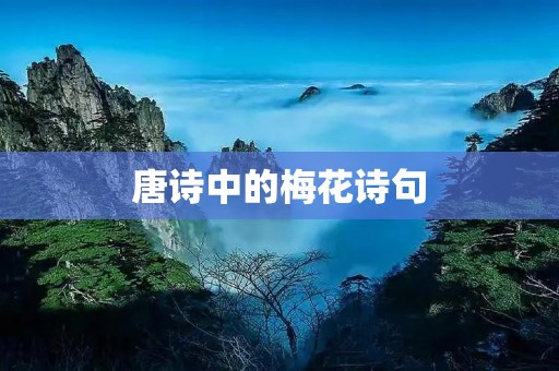 唐诗中的梅花诗句 唐诗中的梅花诗句
