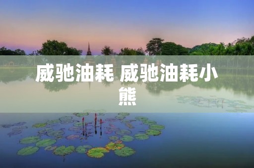 威驰油耗 威驰油耗小熊