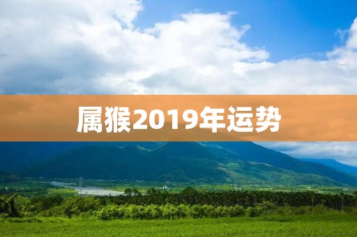 属猴2019年运势：猴子摘桃，好运连连