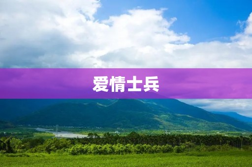 爱情士兵:战争中的情感纠葛 爱情士兵:战争中的情感纠葛
