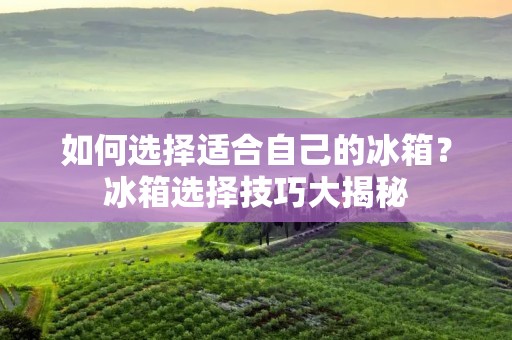 如何选择适合自己的冰箱？冰箱选择技巧大揭秘