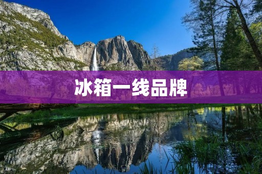 冰箱一线品牌：哪些品牌是最受欢迎的？
