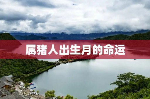 属猪人出生月的命运：星座影响下的人生轨迹