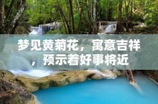 梦见黄菊花，寓意吉祥，预示着好事将近