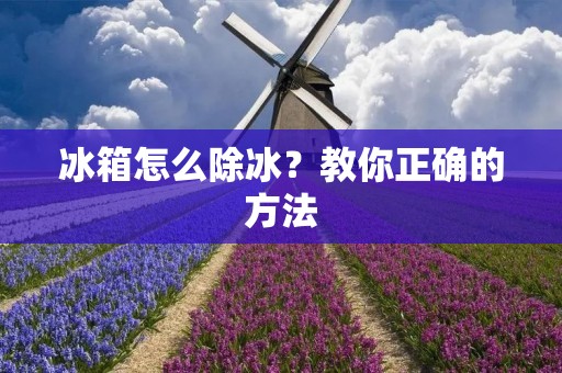 冰箱怎么除冰?教你正确的方法 冰箱怎么除冰?教你正确的方法