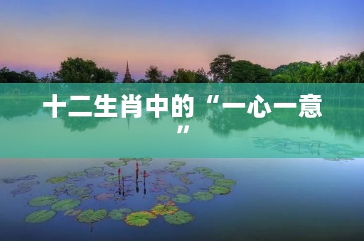十二生肖中的“一心一意”