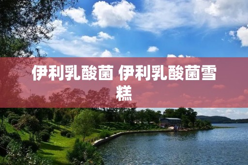 伊利乳酸菌 伊利乳酸菌雪糕 伊利乳酸菌 伊利乳酸菌雪糕