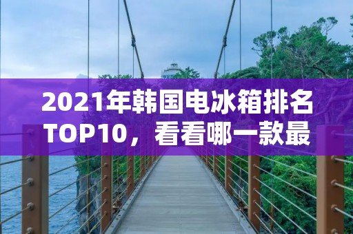 2021年韩国电冰箱排名TOP10,看看哪一款最适合你