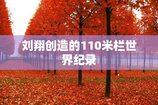 刘翔创造的110米栏世界纪录