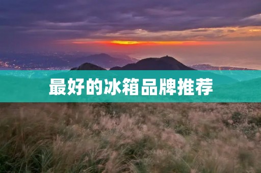 最好的冰箱品牌推荐 最好的冰箱品牌推荐