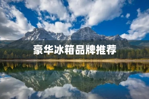 豪华冰箱品牌推荐:让您的厨房更加高档豪华 豪华冰箱品牌推荐:让您的厨房更加高档豪华