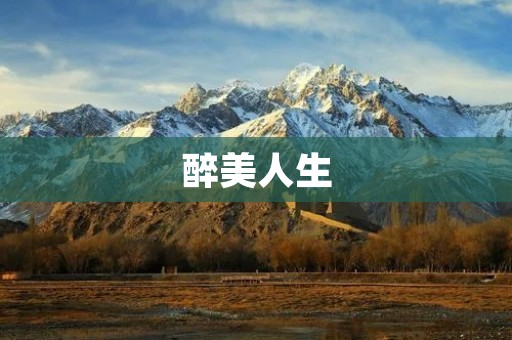 醉美人生:浅谈酒文化的诗句