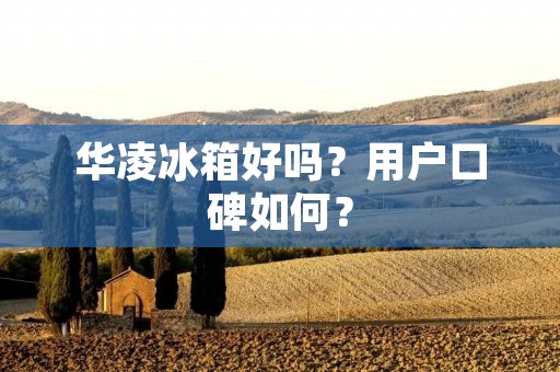 华凌冰箱好吗?用户口碑如何? 华凌冰箱好吗?用户口碑如何?