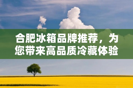 合肥冰箱品牌推荐,为您带来高品质冷藏体验 合肥冰箱品牌推荐,为您带来高品质冷藏体验