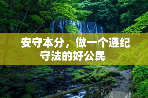 安守本分,做一个遵纪守法的好公民 安守本分,做一个遵纪守法的好公民