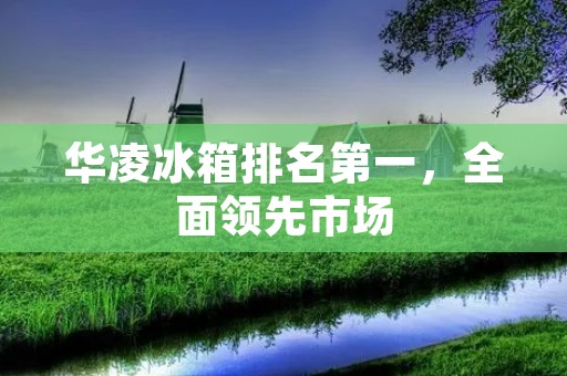 华凌冰箱排名第一,全面领先市场 华凌冰箱排名第一,全面领先市场
