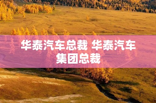 华泰汽车总裁 华泰汽车集团总裁