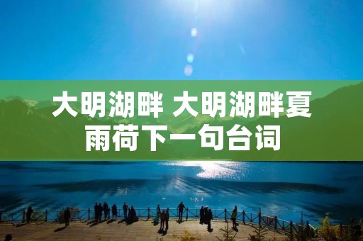 大明湖畔 大明湖畔夏雨荷下一句台词