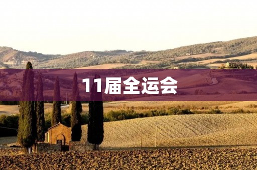 11届全运会：中国体育的盛会