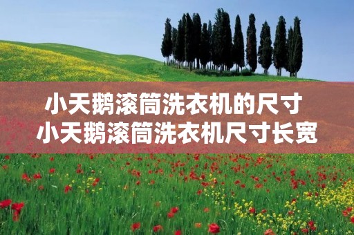 小天鹅滚筒洗衣机的尺寸 小天鹅滚筒洗衣机尺寸长宽高