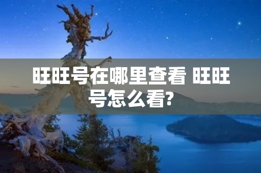 旺旺号在哪里查看 旺旺号怎么看? 旺旺号在哪里查看 旺旺号怎么看?