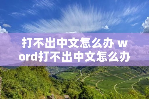 打不出中文怎么办 word打不出中文怎么办