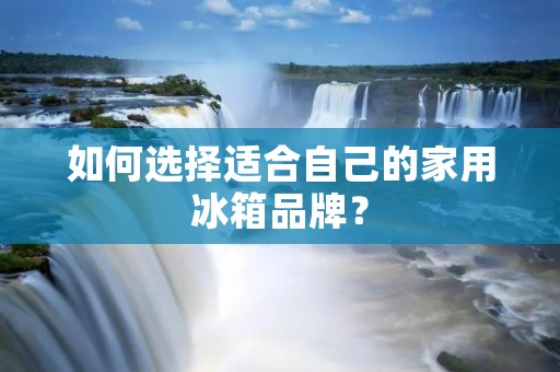 如何选择适合自己的家用冰箱品牌？